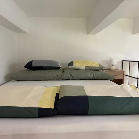 Biztos Kucko * 塞格德