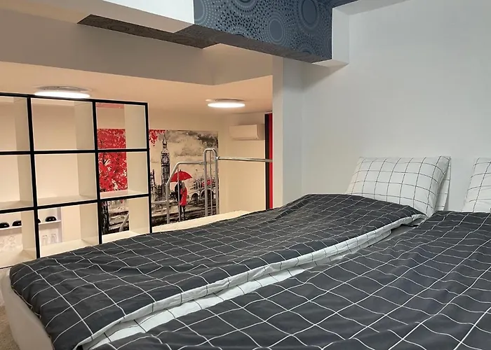 Biztos Kucko 塞格德